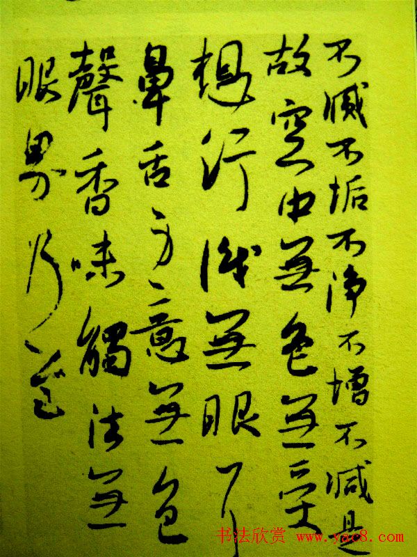 刘京闻行书作品《心经》