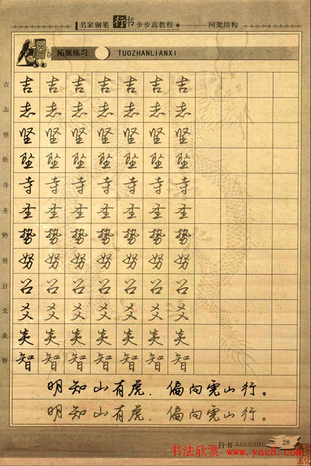 名家钢笔行书字帖：间架结构教程