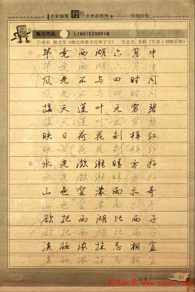 名家钢笔行书字帖：间架结构教程