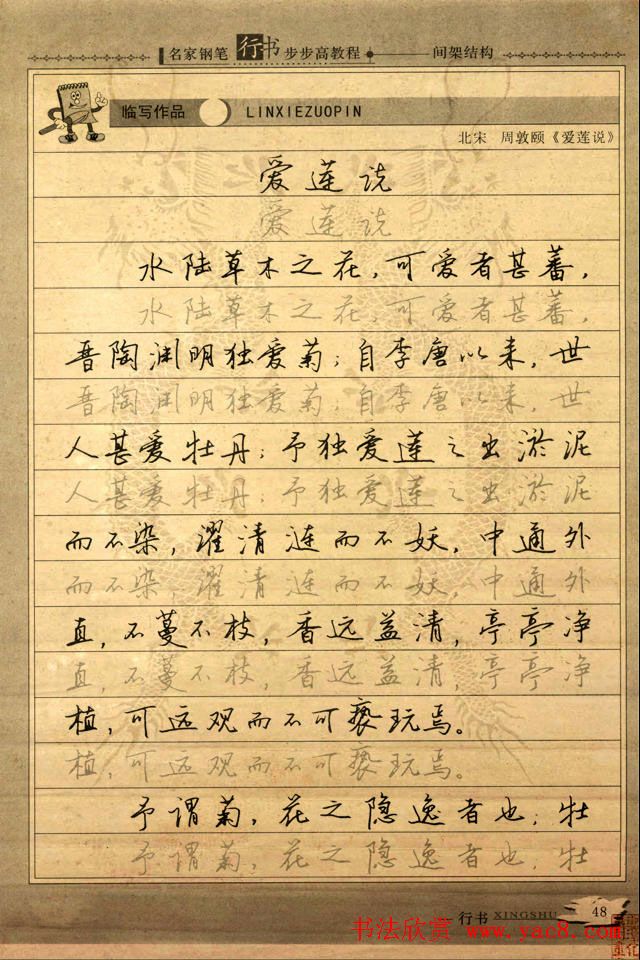 名家钢笔行书字帖：间架结构教程