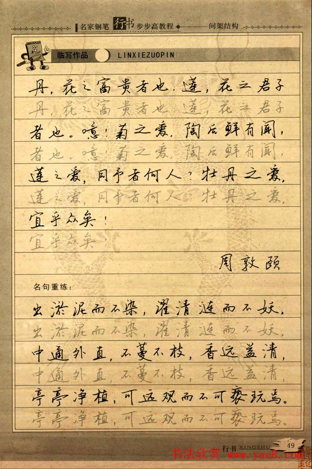 名家钢笔行书字帖：间架结构教程