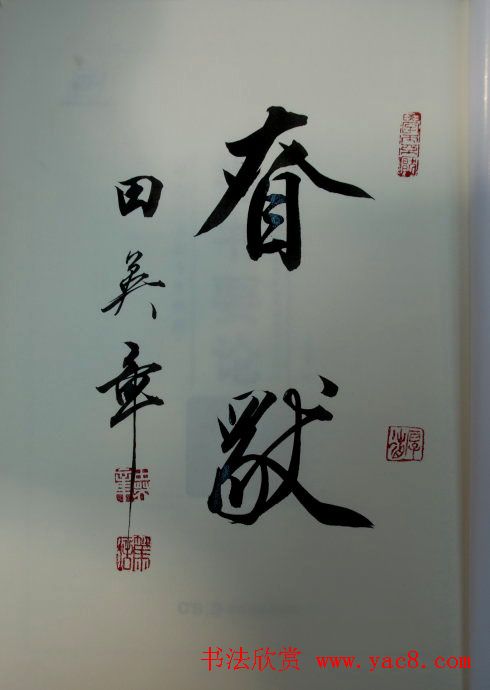 田英章2字行草书法作品第二辑