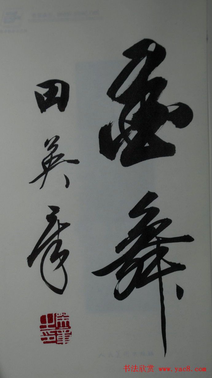 田英章2字行草书法作品第二辑