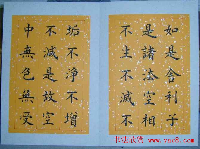 王利泉书法楷书欣赏心经册页