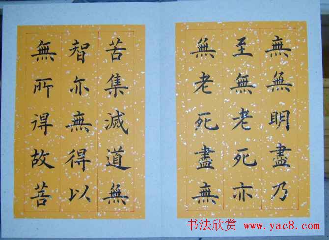 王利泉书法楷书欣赏心经册页