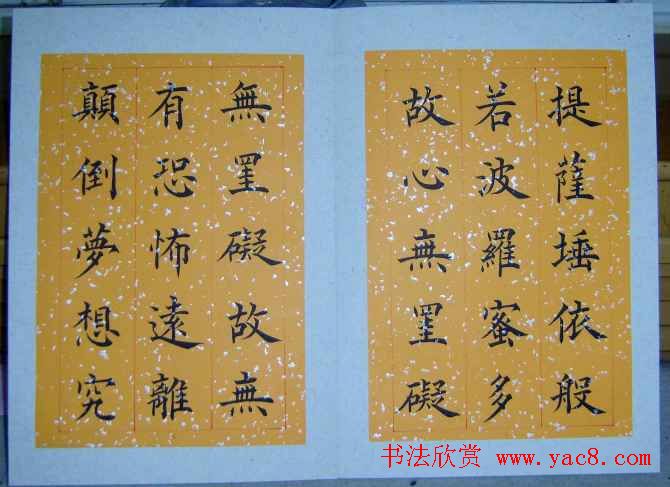 王利泉书法楷书欣赏心经册页