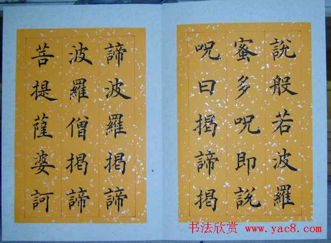 王利泉书法楷书欣赏心经册页