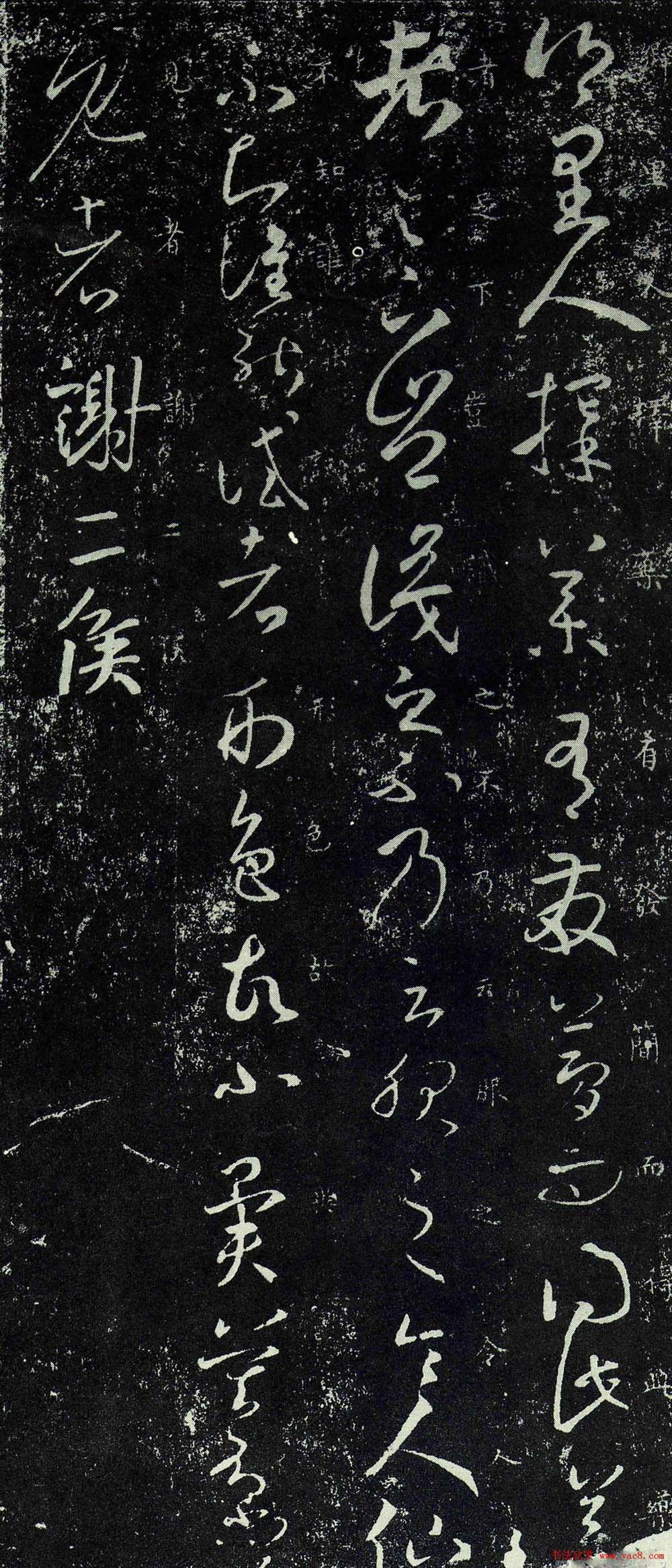 王羲之草书欣赏《择药帖》