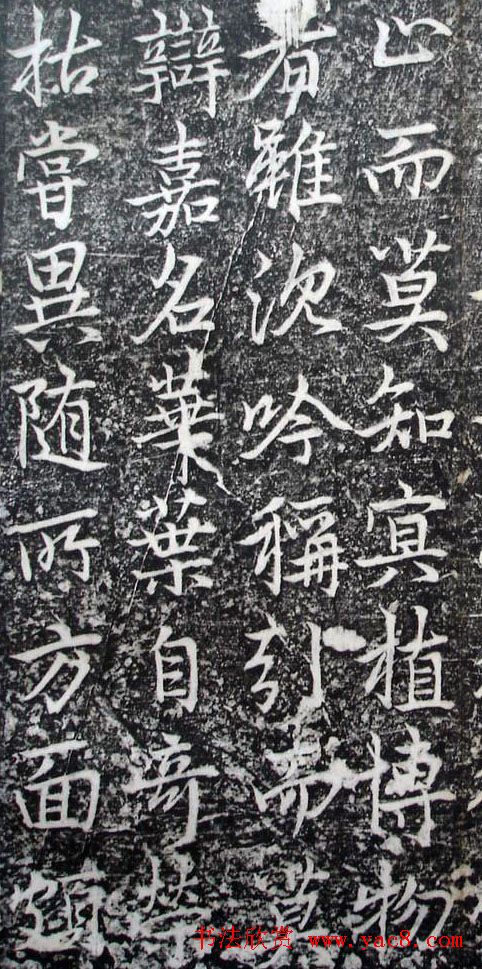 李北海李邕行书欣赏《婆罗树碑记》