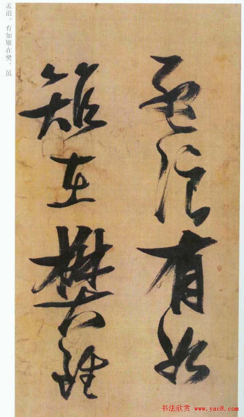 张瑞图草书欣赏《自书诗册》