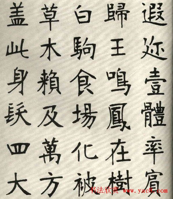 张裕钊楷书字帖欣赏《千字文》