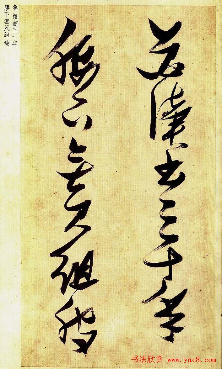 《明张瑞图草书偶然作》册页欣赏