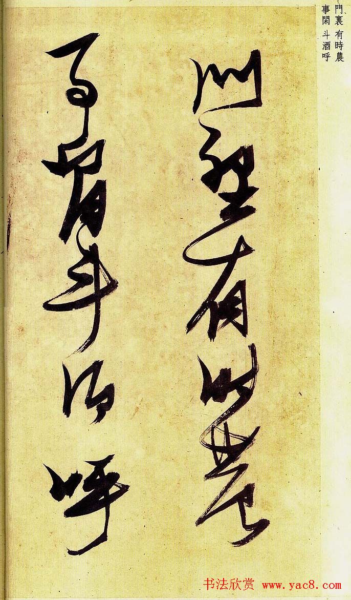 《明张瑞图草书偶然作》册页欣赏