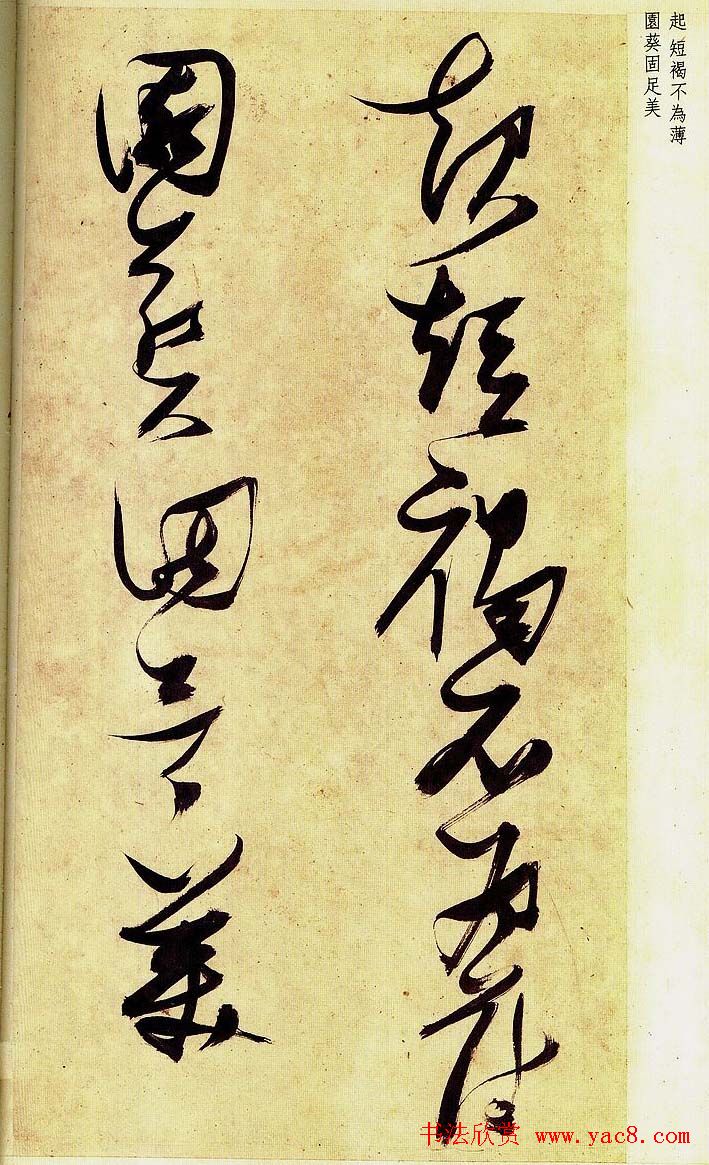 《明张瑞图草书偶然作》册页欣赏