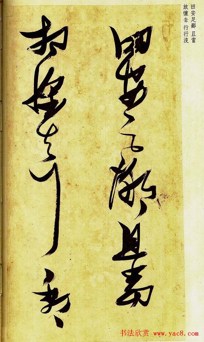 《明张瑞图草书偶然作》册页欣赏