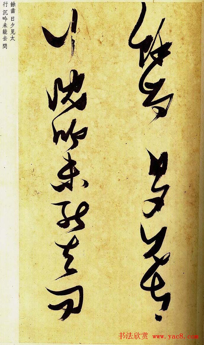 《明张瑞图草书偶然作》册页欣赏