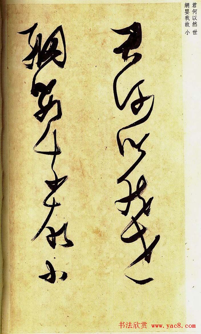 《明张瑞图草书偶然作》册页欣赏