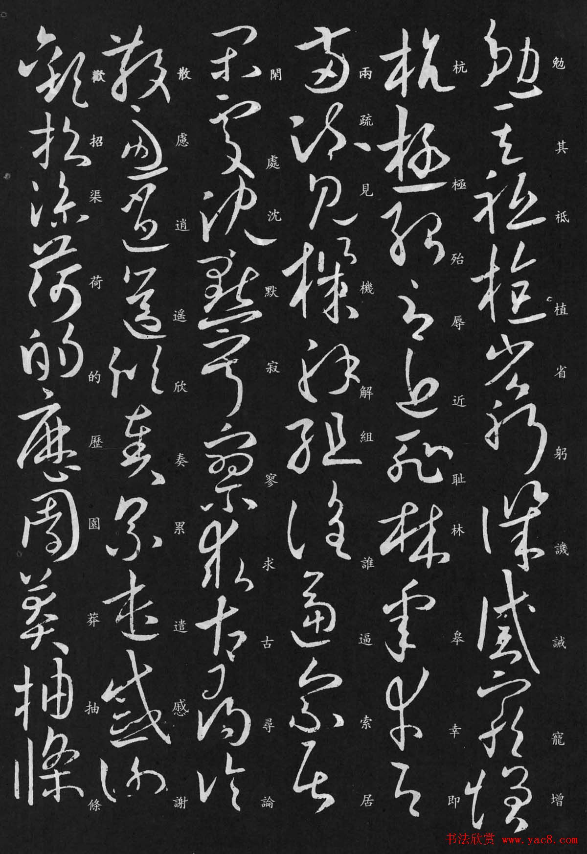 欧阳询书法欣赏草书千字文