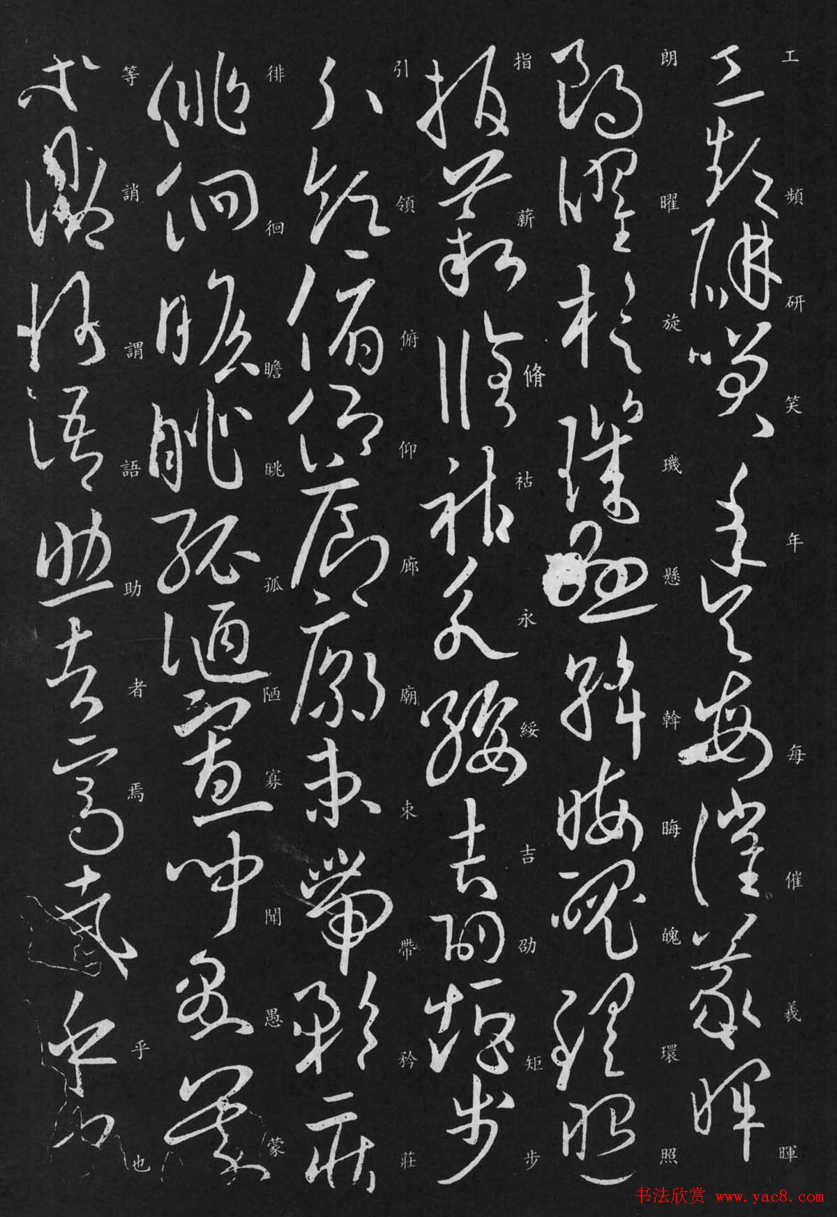 欧阳询书法欣赏草书千字文