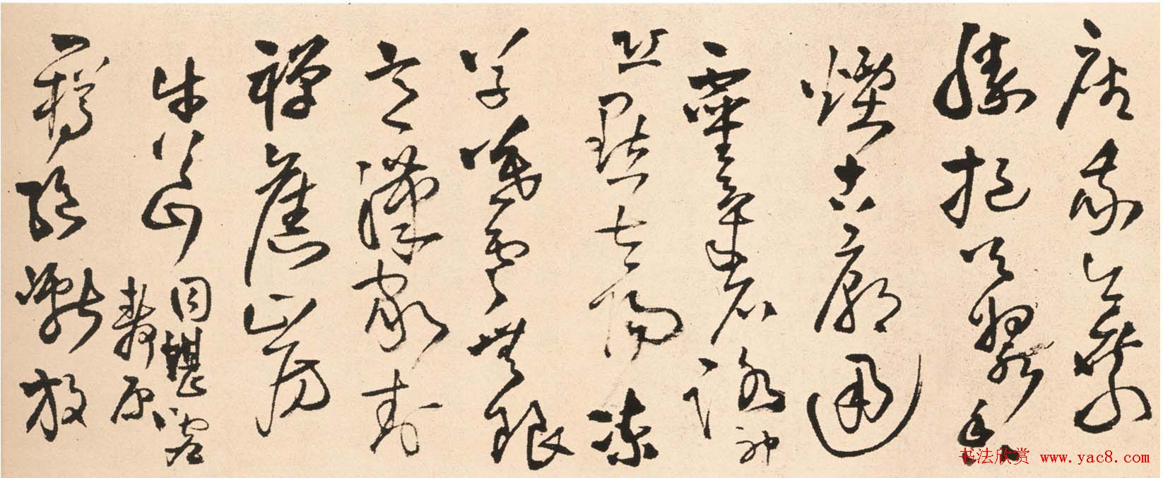 王铎草书欣赏《赠张抱一草书诗卷》