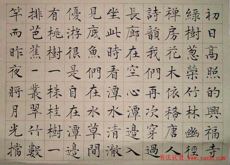 安徽韦斯琴书法作品欣赏