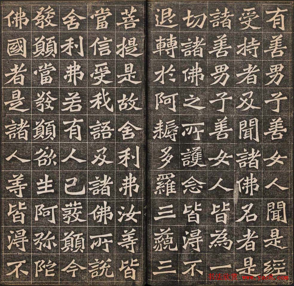 王代功书法欣赏《佛说阿弥陀经》