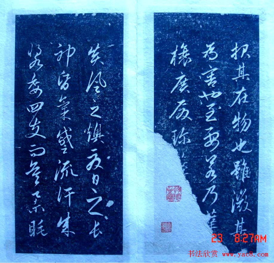 赵孟頫行书欣赏《憎苍蝇赋》拓本