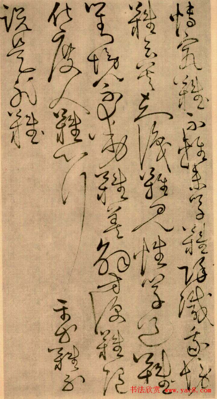 怀素草书欣赏《四十二章经》真迹 怀素草书欣赏《四十二章经》真迹