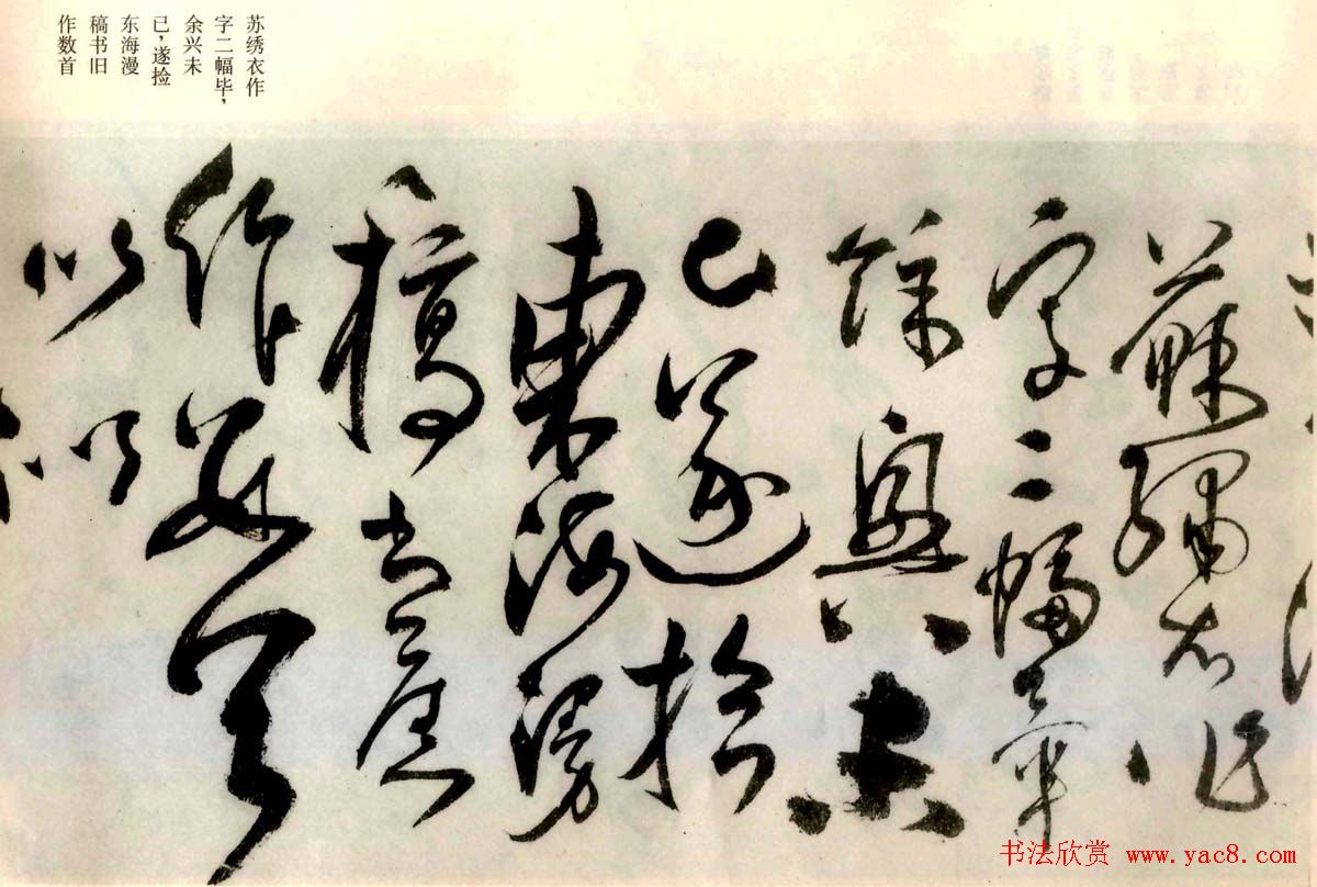 张弼草书欣赏《题水月轩手卷》