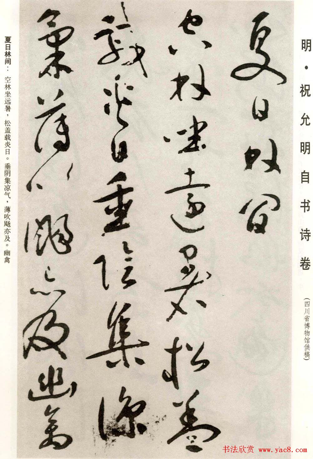 祝允明草书欣赏《自书诗卷五章》