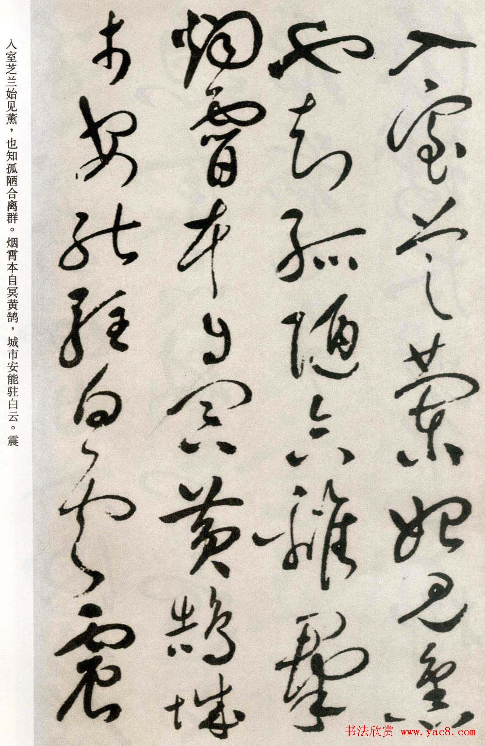 祝允明草书欣赏《自书诗卷五章》