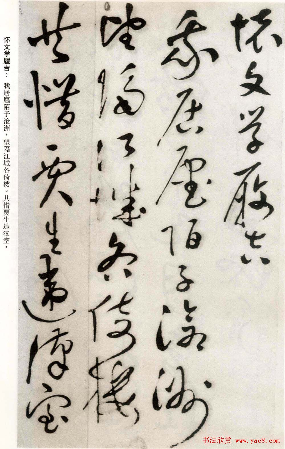 祝允明草书欣赏《自书诗卷五章》