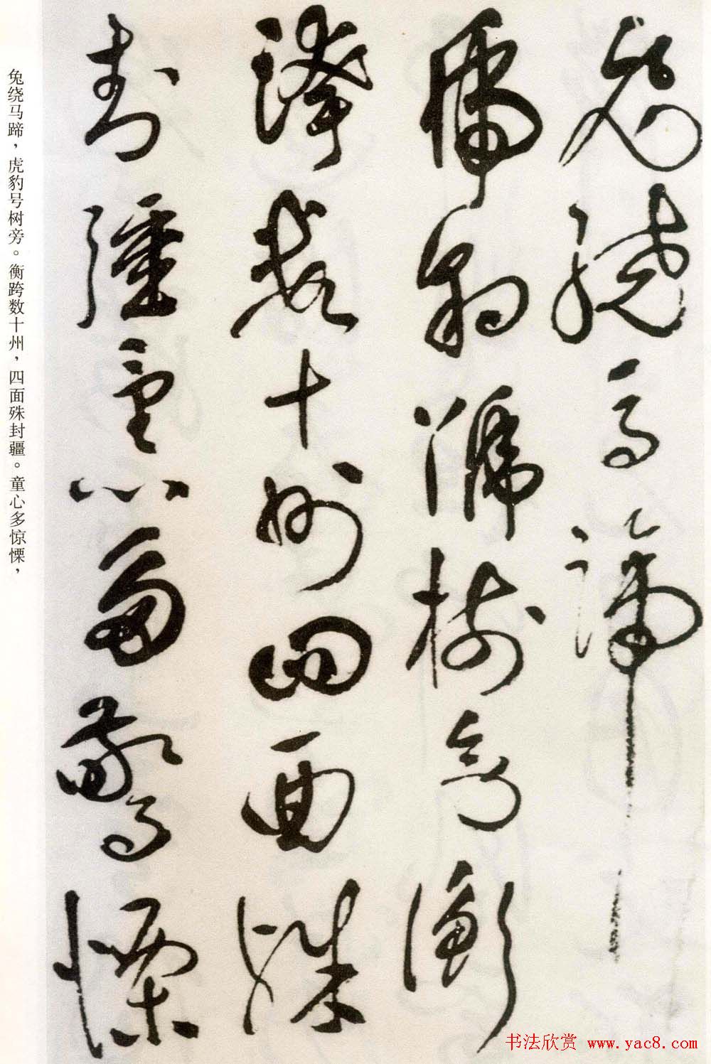 祝允明草书欣赏《自书诗卷五章》