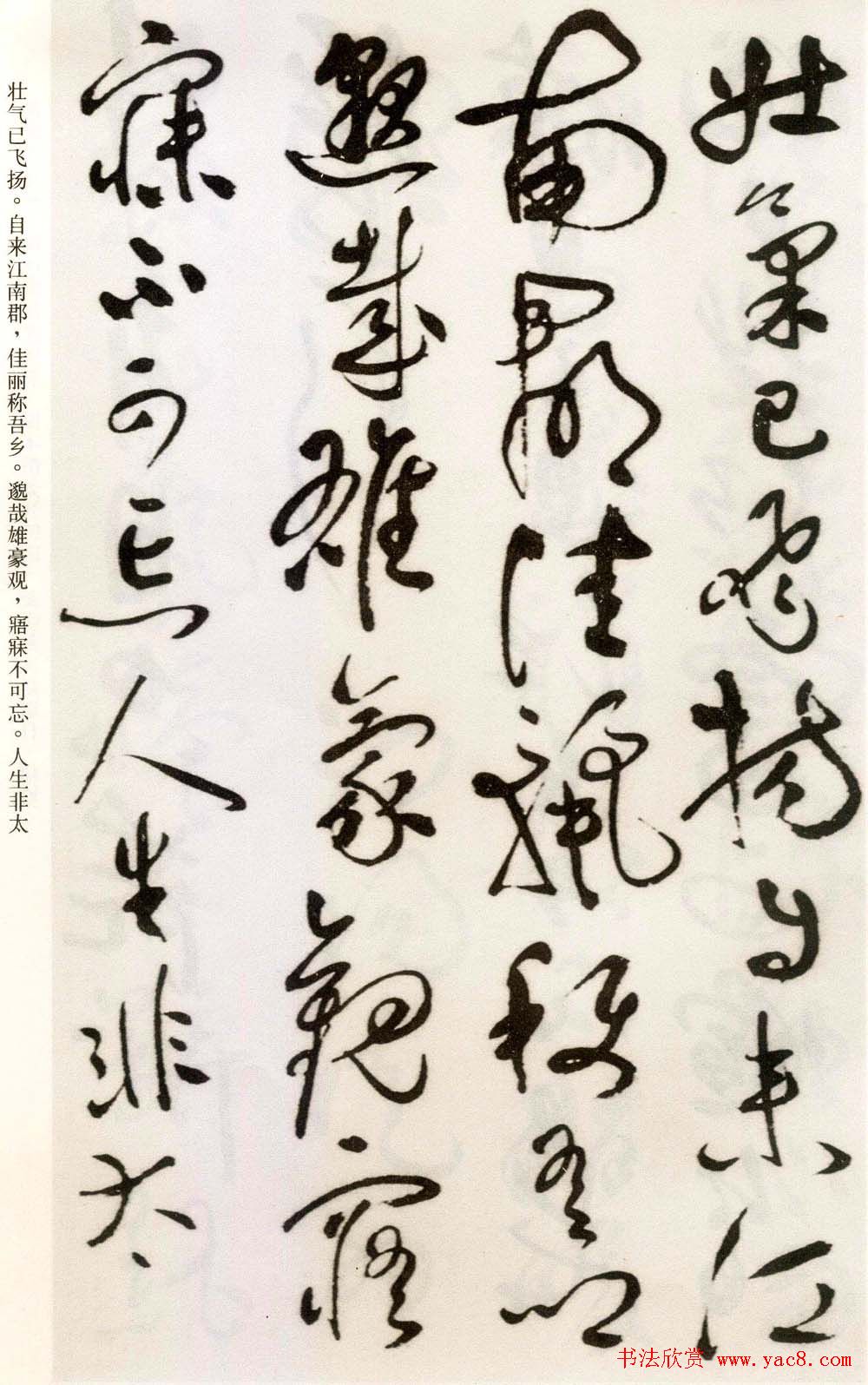 祝允明草书欣赏《自书诗卷五章》