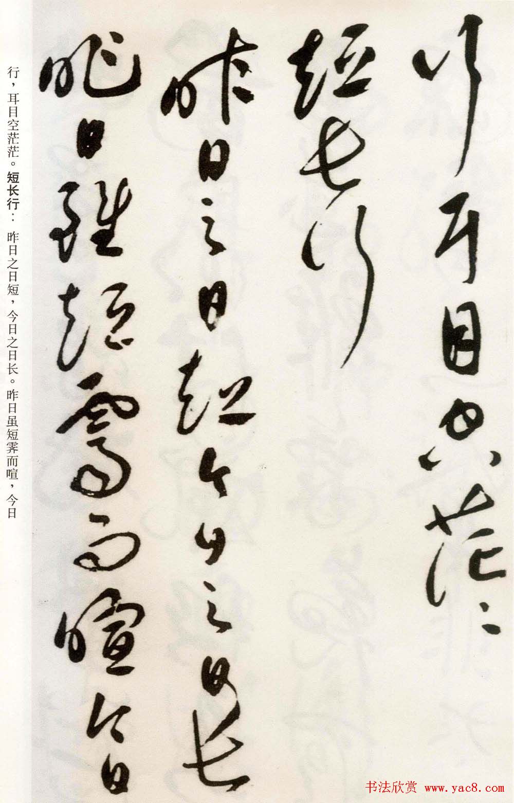 祝允明草书欣赏《自书诗卷五章》