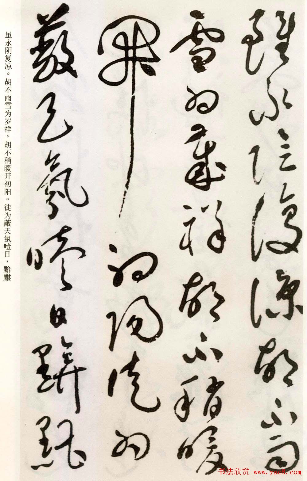 祝允明草书欣赏《自书诗卷五章》