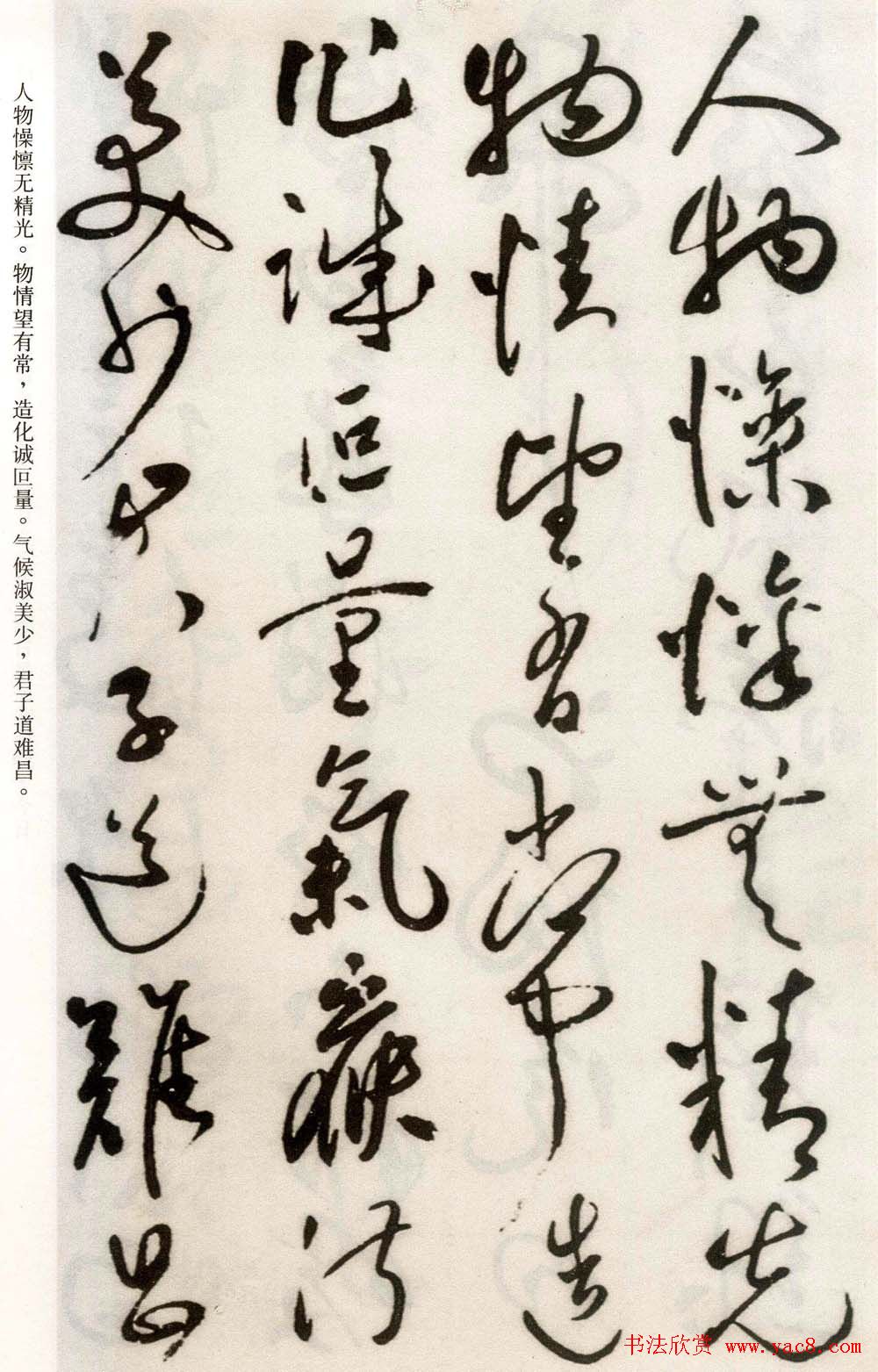 祝允明草书欣赏《自书诗卷五章》