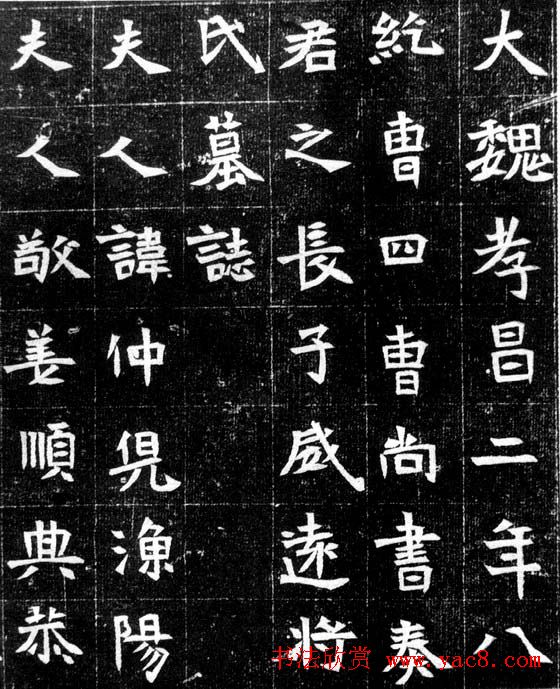 北魏《鲜于仲儿墓志》全图