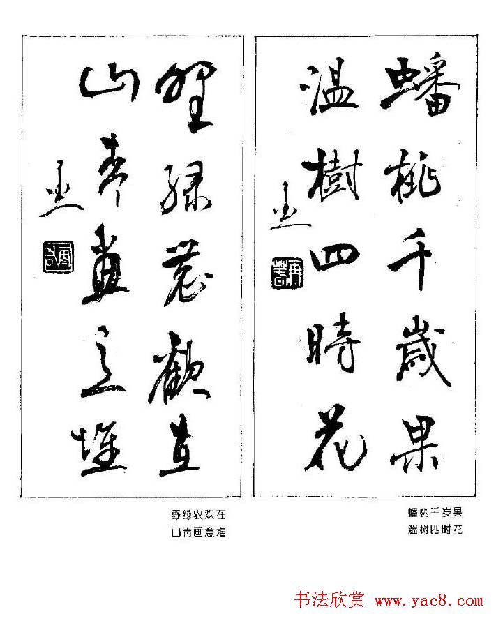 杨再春书法作品五言对联