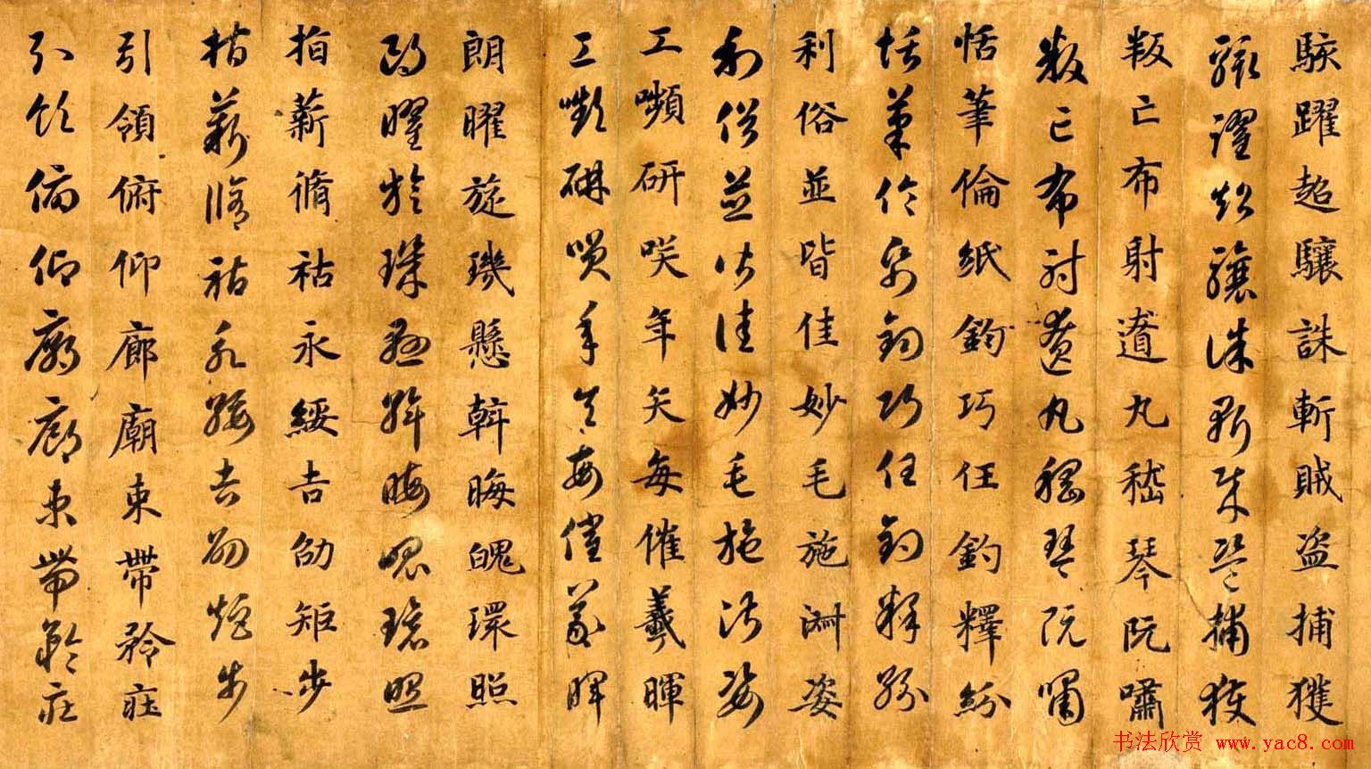 蒋善进书法临《智永真草千字文》