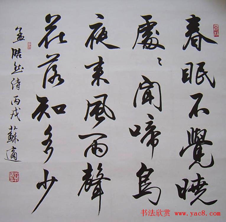 苏适行书书法作品欣赏