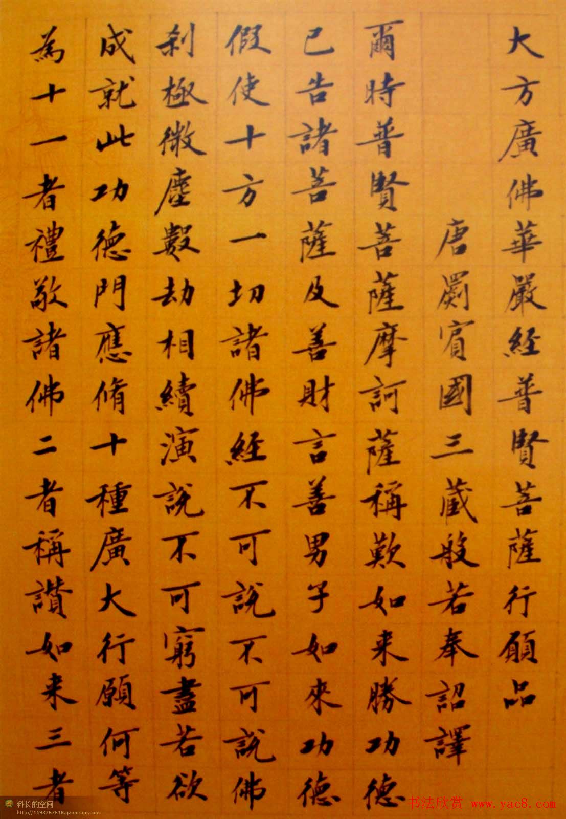 刘小晴小楷欣赏《华严经》