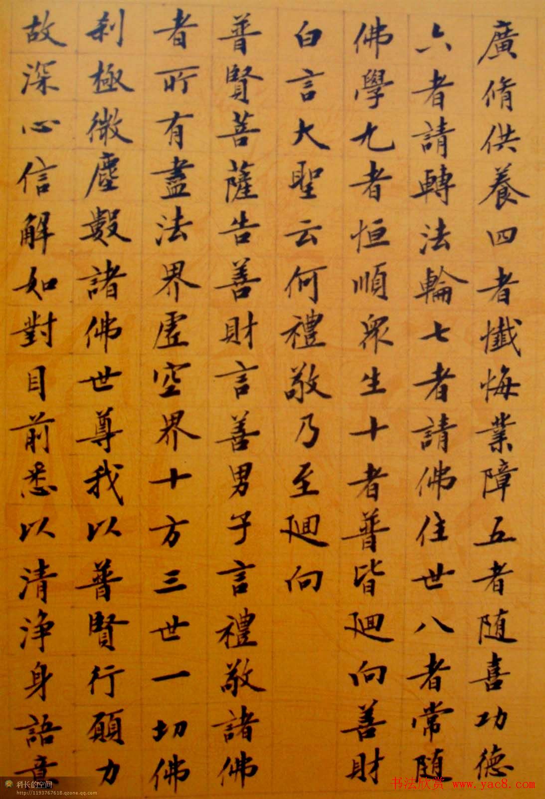 刘小晴小楷欣赏《华严经》