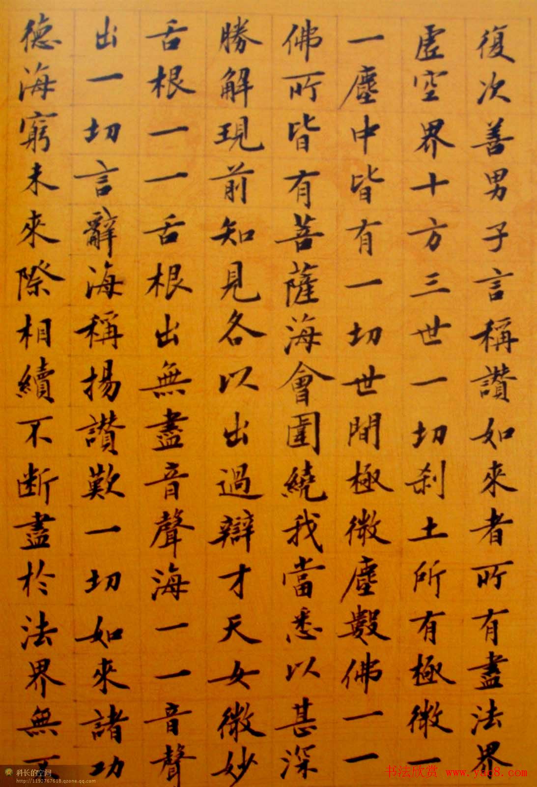 刘小晴小楷欣赏《华严经》