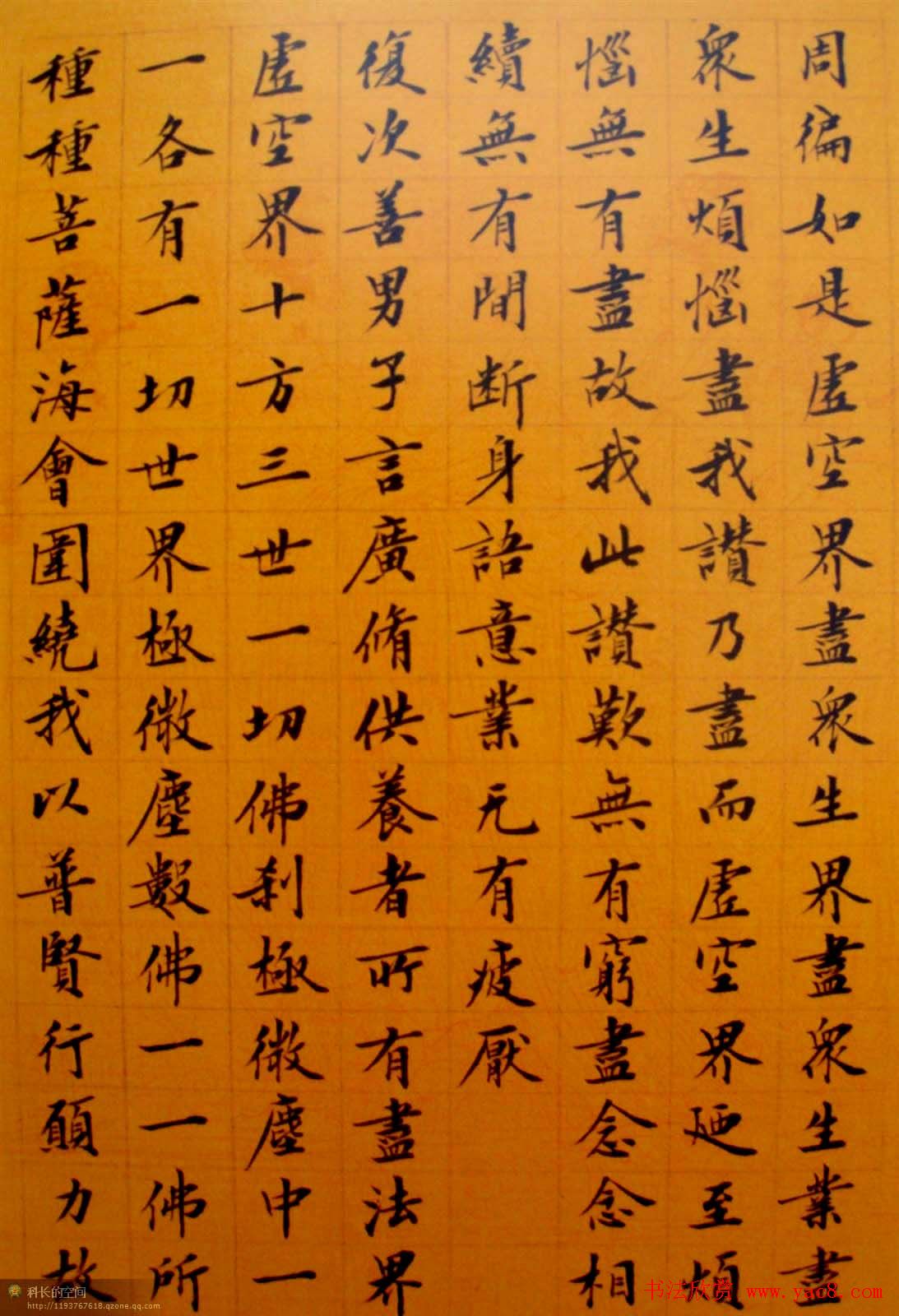 刘小晴小楷欣赏《华严经》