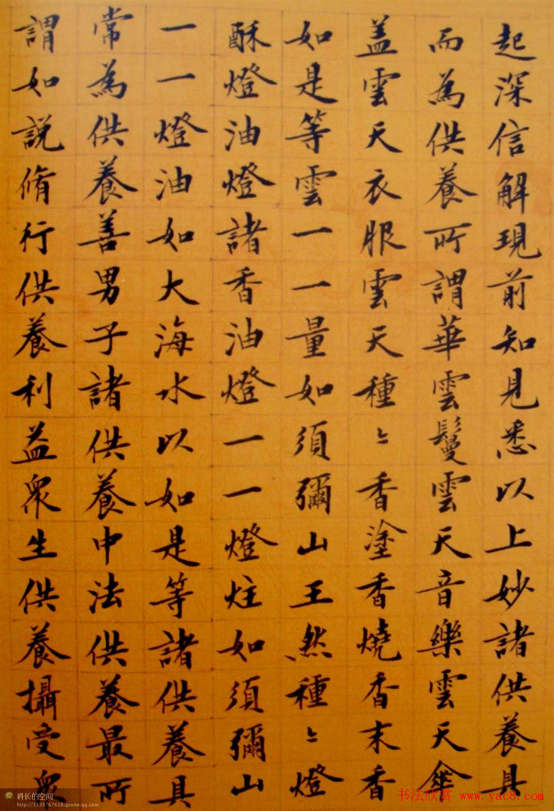 刘小晴小楷欣赏《华严经》