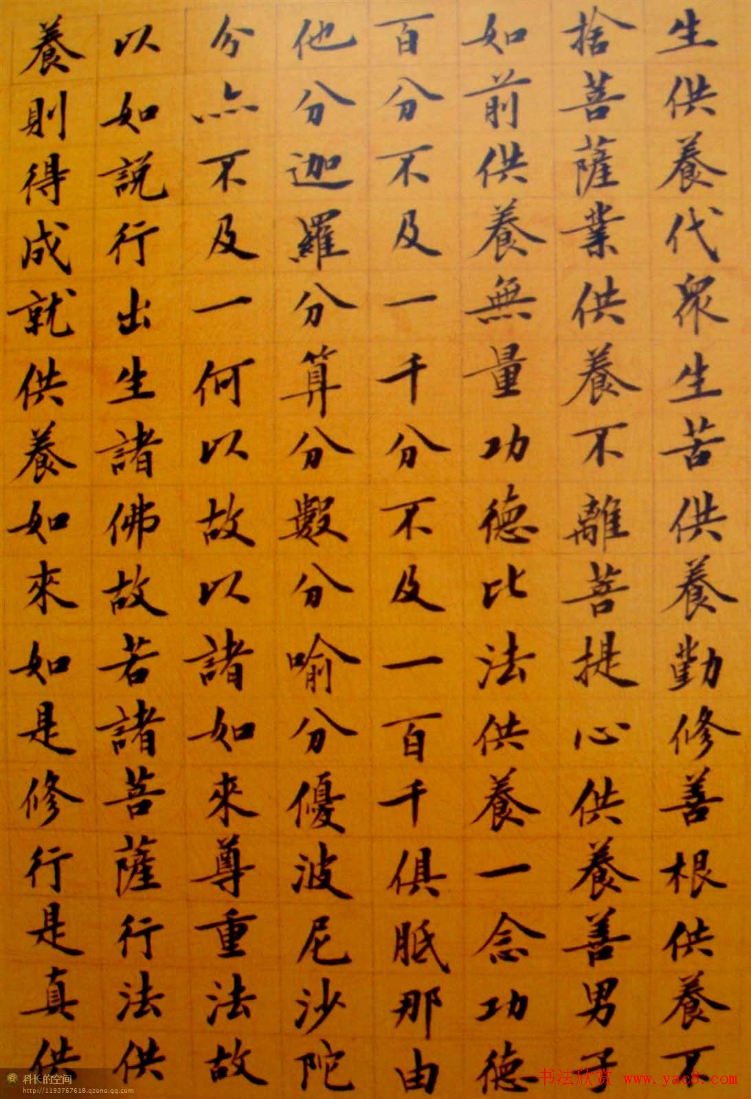 刘小晴小楷欣赏《华严经》