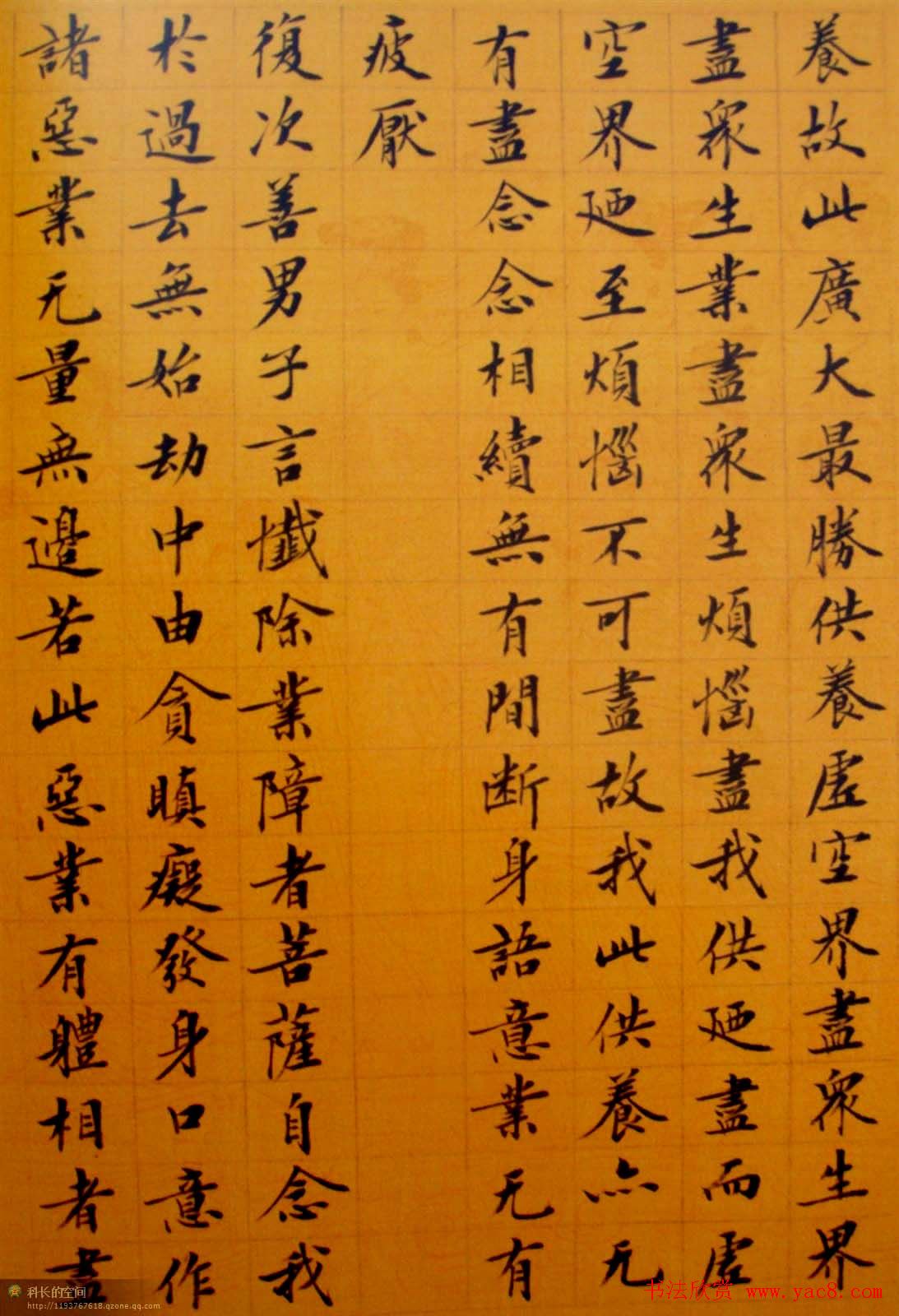 刘小晴小楷欣赏《华严经》