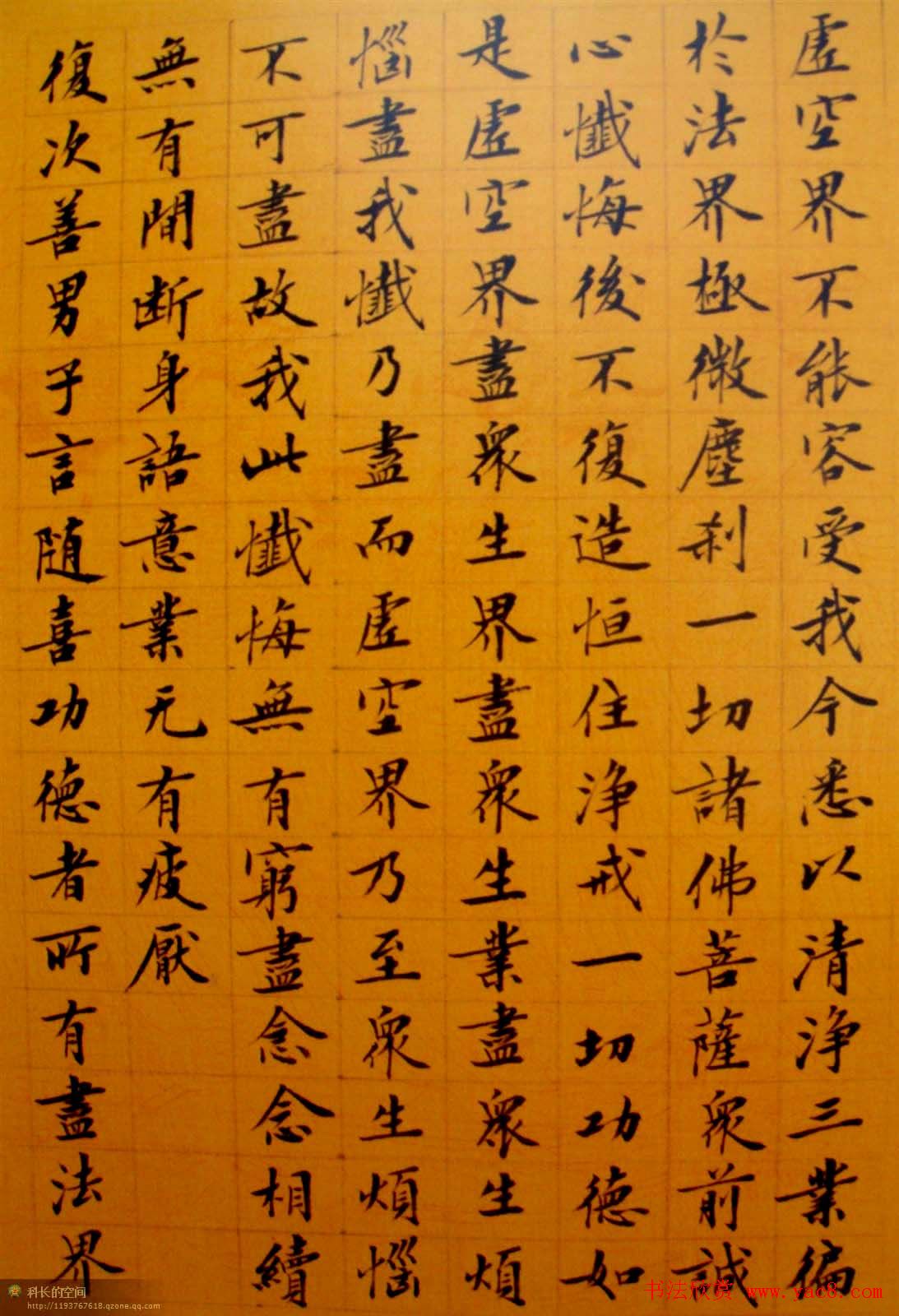 刘小晴小楷欣赏《华严经》