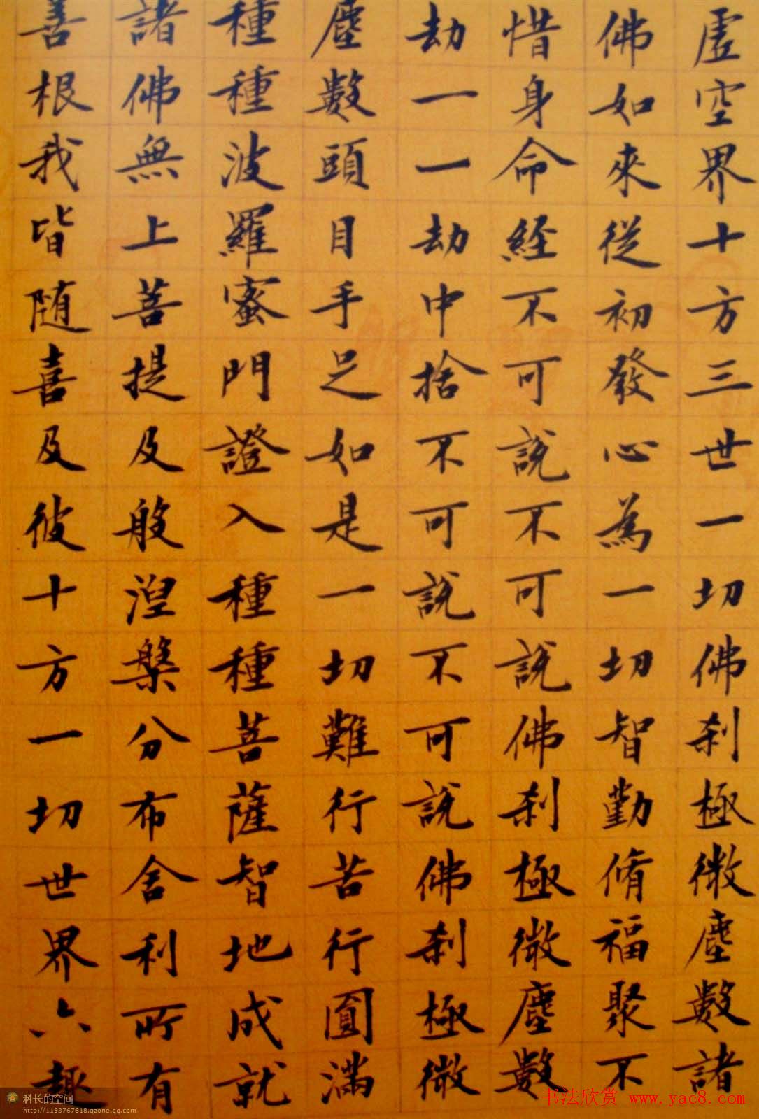 刘小晴小楷欣赏《华严经》